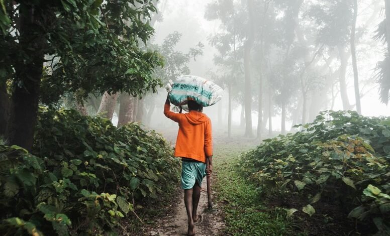 increase instagram followers effectively