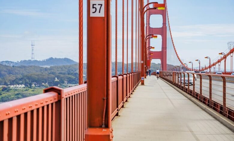 apex path opportunity engine